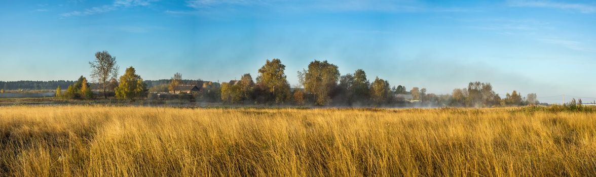 Nature landscape is forest and grass. Beautiful landscape.