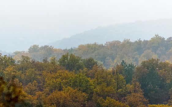 Beautiful autumn forest in the mountains of Crimea. A leaffall in the woods.