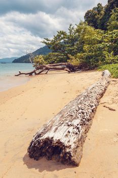 dream paradise beach in Masoala national park in vivid colors, Madagascar, Africa Wilderness, beautiful nature landscapea