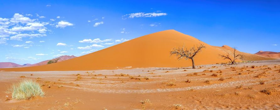 famous and most visited Dune 45 in Sossusvlei, Namib desert with dead acacia tree. Namibia wilderness landscape