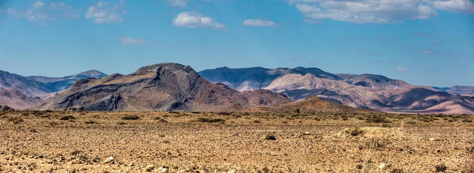 fantastic central Namibia sand desert landscape with trees, traditional african scenery. Sesriem Africa wilderness