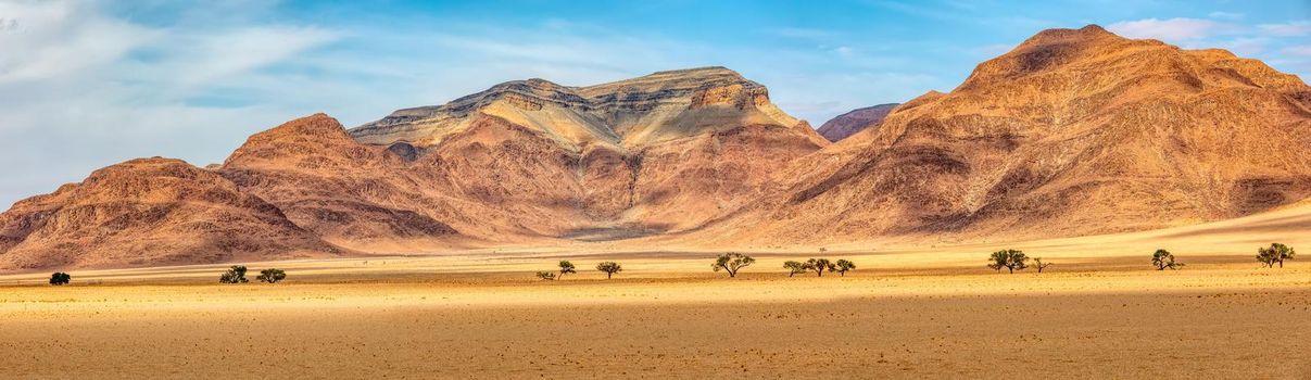 fantastic central Namiabia sand desert landscape with trees, traditional african scenery. Sesriem Africa wilderness