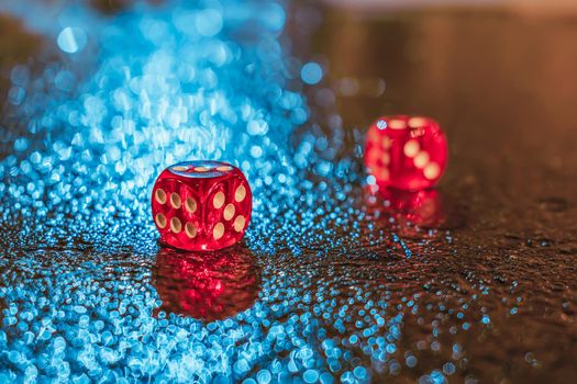 Red dice lie on the wet, after rain, night asphalt in the light of bright city lights