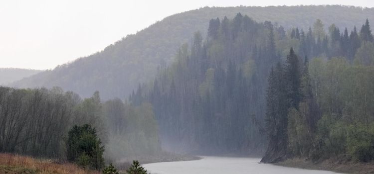 Rain in the taiga over the river. Cloudy weather in the forest.