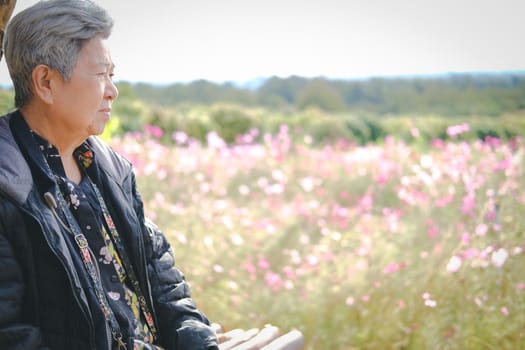 asian old elderly female elder woman resting relaxing in garden. senior leisure lifestyle