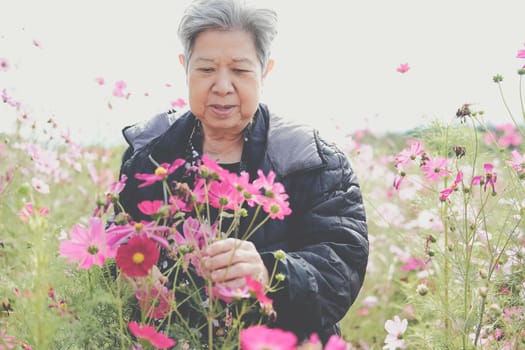 asian old elderly female elder woman resting relaxing in garden. senior leisure lifestyle