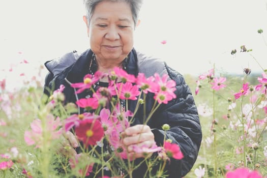 asian old elderly female elder woman resting relaxing in garden. senior leisure lifestyle