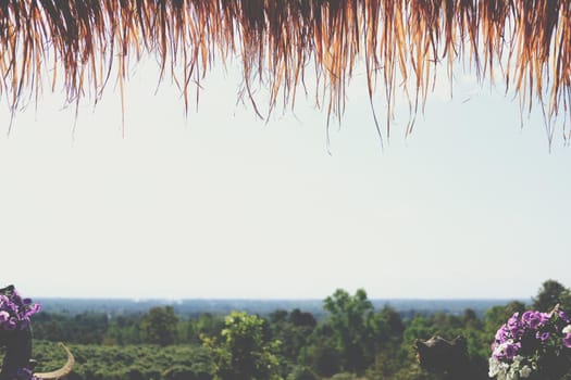 thatched roof made from straw and hay with nature view