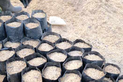 substrate materials for growing plant. soil and fertilizer in planting bag for transplanting seedling in farm