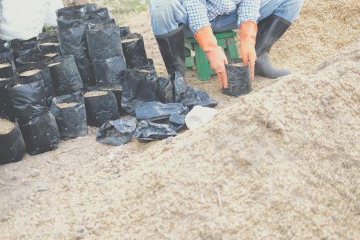substrate materials for growing plant. soil and fertilizer in planting bag for transplanting seedling in farm