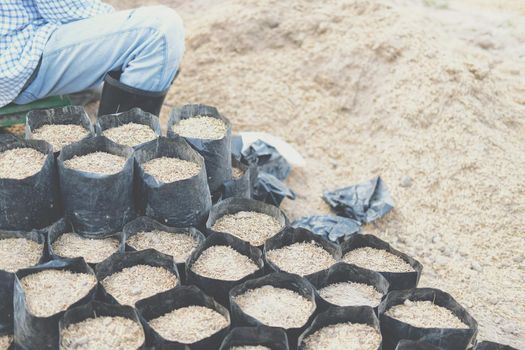 substrate materials for growing plant. soil and fertilizer in planting bag for transplanting seedling in farm