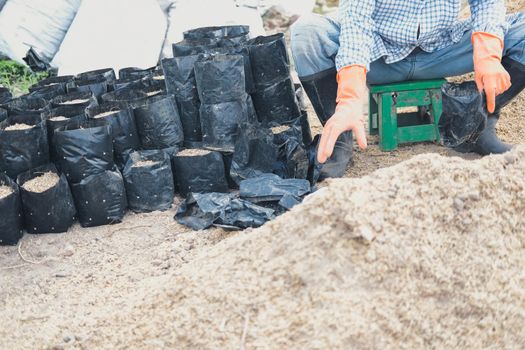 substrate materials for growing plant. soil and fertilizer in planting bag for transplanting seedling in farm