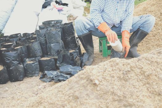 substrate materials for growing plant. soil and fertilizer in planting bag for transplanting seedling in farm