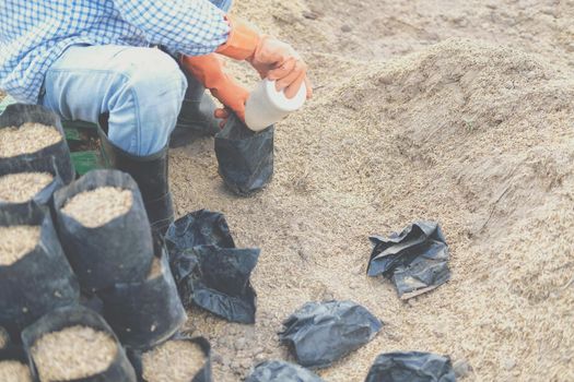 farmer pouring substrate materials for growing plant. soil fertilizer in planting bag for transplanting seedling in farm