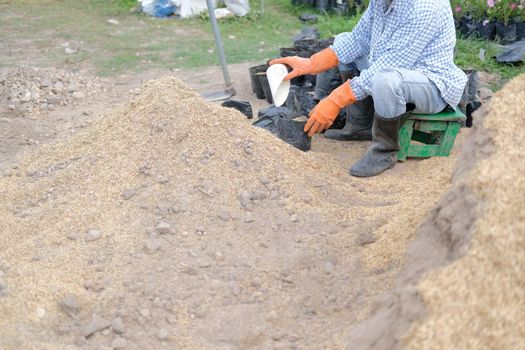 farmer pouring substrate materials for growing plant. soil fertilizer in planting bag for transplanting seedling in farm