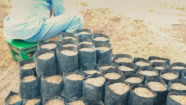 substrate materials for growing plant. soil and fertilizer in planting bag for transplanting seedling in farm