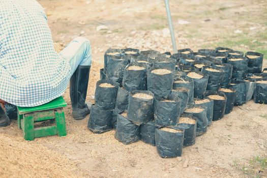 substrate materials for growing plant. soil and fertilizer in planting bag for transplanting seedling in farm