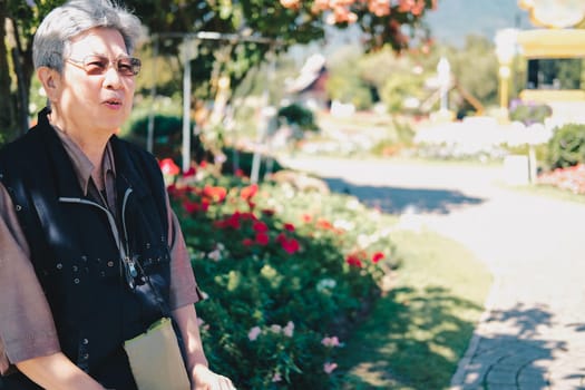asian old elderly female elder woman resting relaxing in garden. senior leisure lifestyle