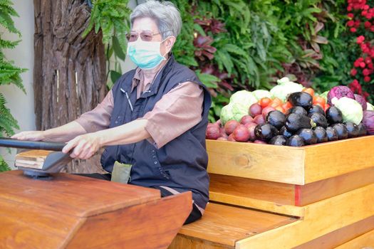 asian old elderly elder woman female with fruit vegetables in wooden cart wagon from farm
