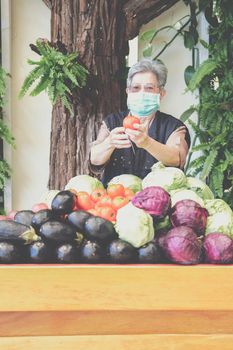 asian old elderly elder woman female with fruit vegetables in wooden cart wagon from farm