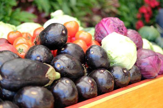 fruit vegetables in wooden cart wagon harvesting from farm