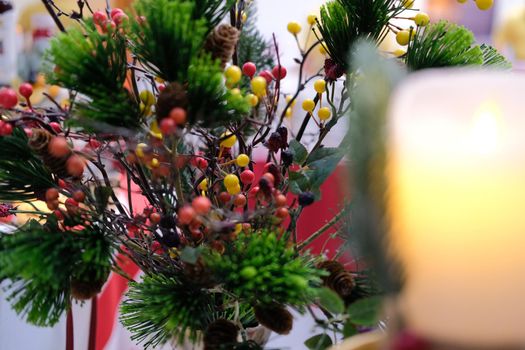 christmas red berries holly and spruce branch. festive ornament decoration. xmas festival
