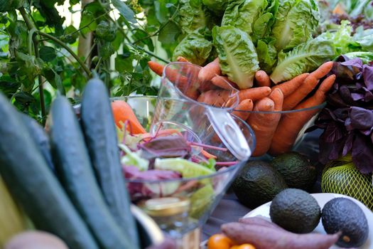mini green cos lettuce, carrot and avocado. vegetable fruit harvest ingredient for cooking food