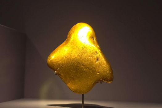 Golden nuggets in the museum. Gold in nuggets.