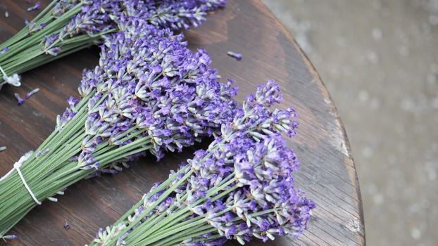 Bunch or bouquet of purple lavender flowers on a wood texture table. Group of lavandula from Furano province Hokkaido Sapporo Japan. Photo from above., aroma herbs concept