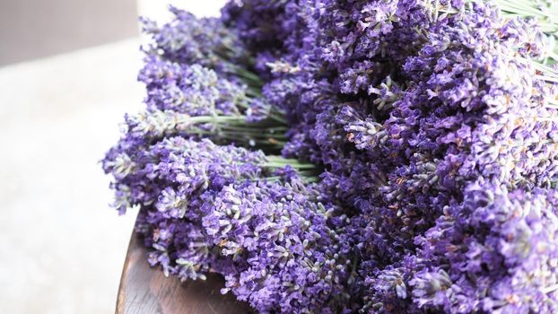 Bunch or bouquet of purple lavender flowers on a wood texture table. Group of lavandula from Furano province Hokkaido Sapporo Japan. Photo from above., aroma herbs concept