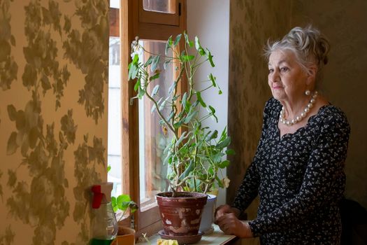 Old beautiful woman by the window. Eighty year old woman. Grandmother looks out the window. Lonely old age. Nursing home.