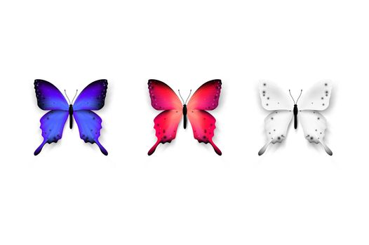 Set Of Colorful Butterflies. Isolated On White Background Vector Illustration. Trendy Design Element.