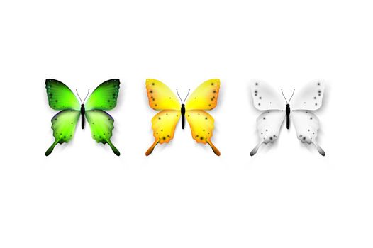 Set Of Colorful Butterflies. Isolated On White Background Vector Illustration. Trendy Design Element.