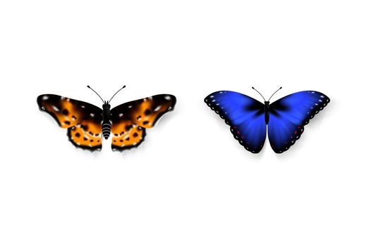 Set Of Colorful Butterflies. Isolated On White Background Vector Illustration. Trendy Design Element.