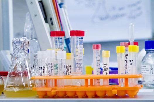 A set of test tubes with reagents in a tripod. Preparation for the experiment. A tripod with test tubes on the table. A flask with a liquid culture of bacteria next to the test tubes.