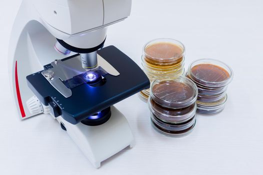 A microscope and petri dishes are near. A microscope on the desktop and next to it lie petri dishes.