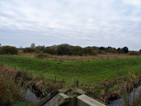 a moat in the nature reserve