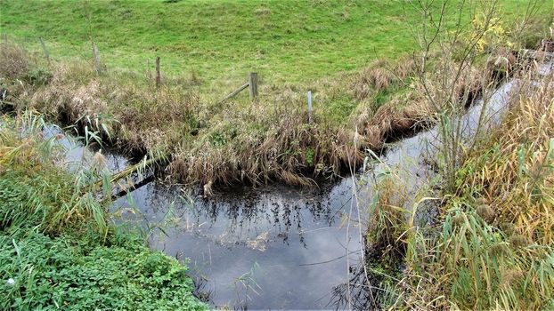 a moat in the nature reserve