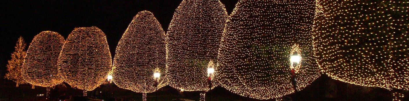 Numerous Christmas Lights