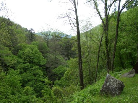 The western side of the Great Smoky Mountains National Park in Tennessee