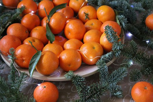 Many small tangerines on the plate are decorated with a garland and coniferous green branches. Texture or background