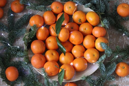 Small tangerines close-up on a plate decorated with coniferous green branches and a garland.Texture or background