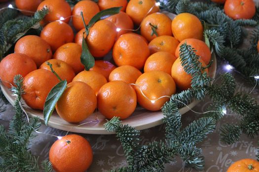 Many small tangerines on the plate are decorated with fir branches and a Christmas garland.Texture or background