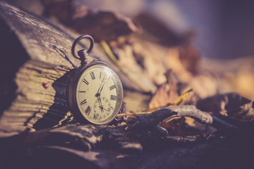 Vintage watch leans on a wood piece and dry leaves, blurriness