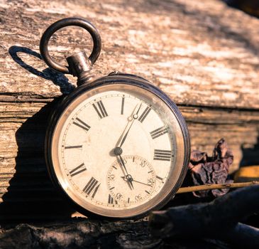 Vintage watch leans on a wood piece and dry leaves, blurriness