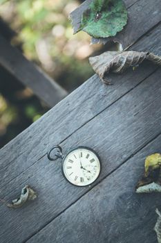 Vintage pocket watch on a wood board, colourful leaves, autumn
