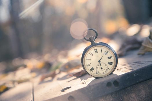 Vintage pocket watch on a wood board, colourful leaves, autumn