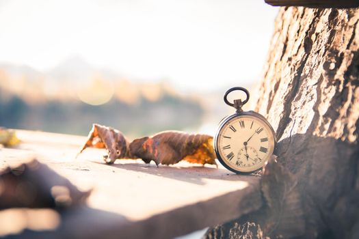 Vintage pocket watch on a wood board, colourful leaves, autumn, sunshine