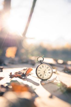 Vintage pocket watch on a wood board, colourful leaves, autumn, sunshine