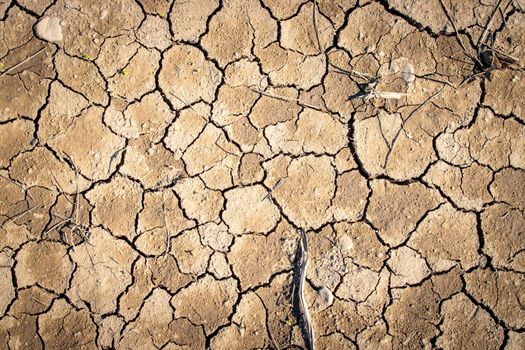 Top view of cracked earth, concept for global warming